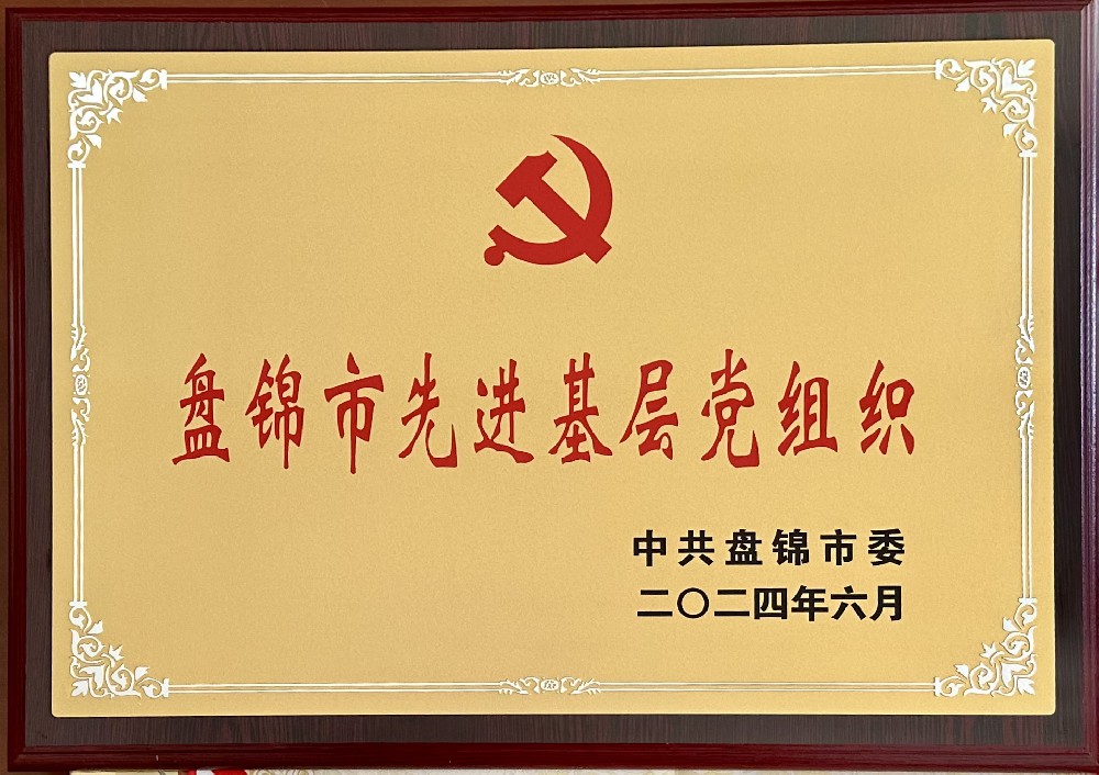 色情小说
荣兴油脂科技有限公司党支部荣获“盘锦市先进基层党组织”荣誉称号